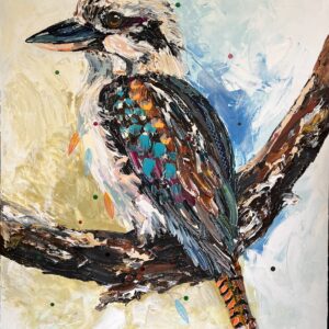 Bush Monarch