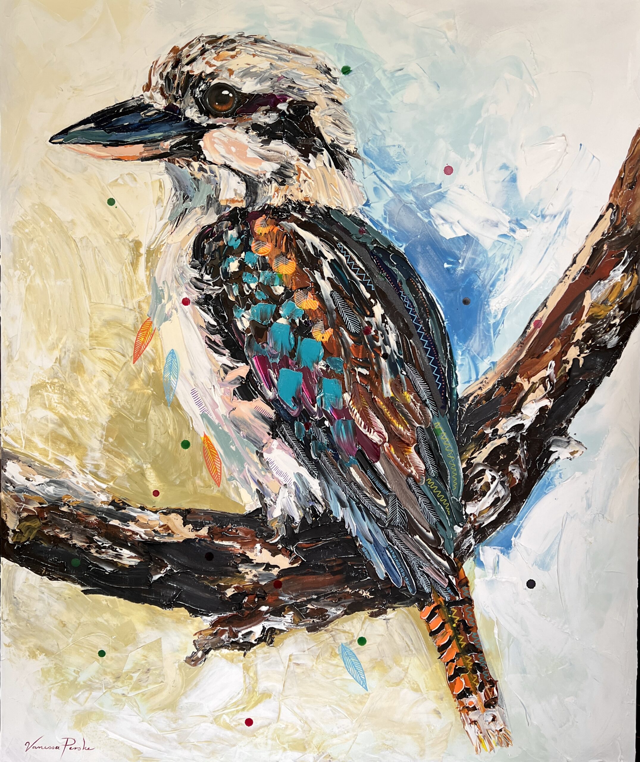 Bush Monarch